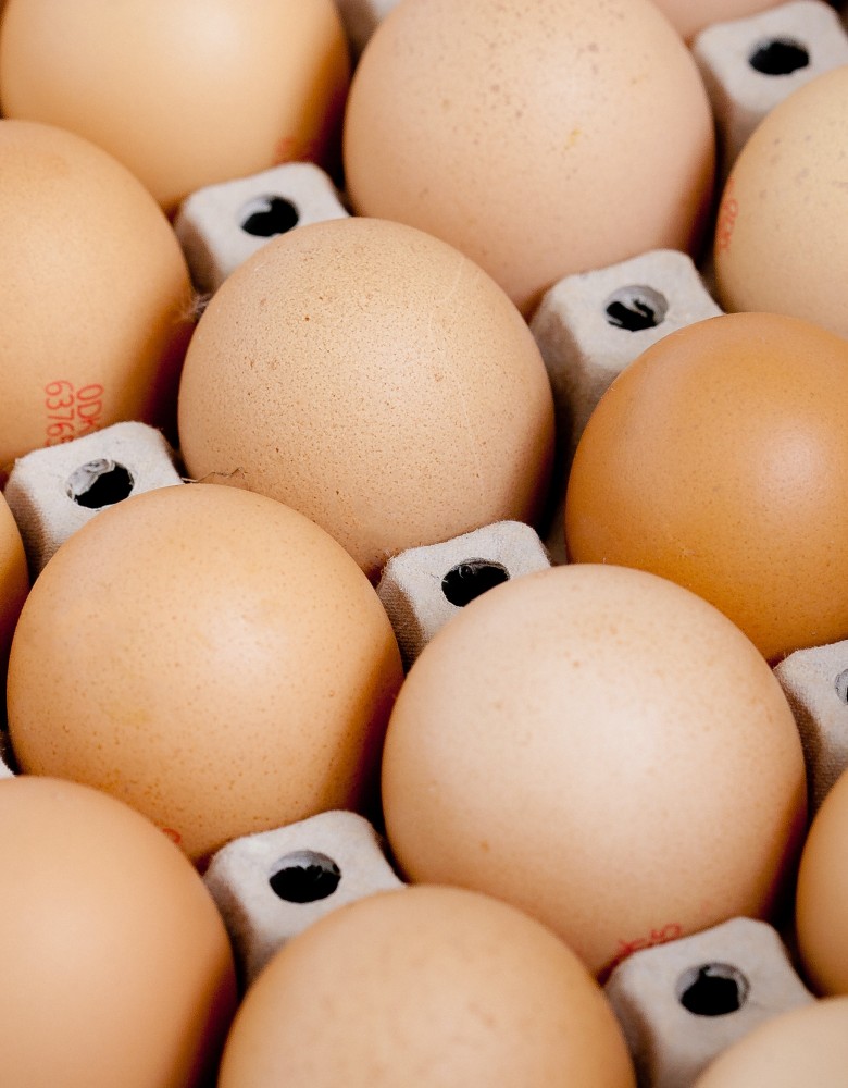 Opakowania na jajka